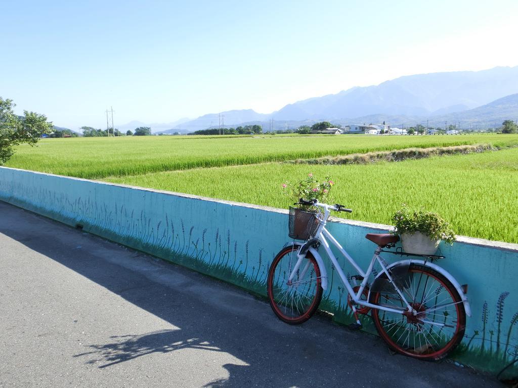 池上福吉園素食民宿 臺東縣民宿073號 請勿透過阿勾達訂房 Esterno foto